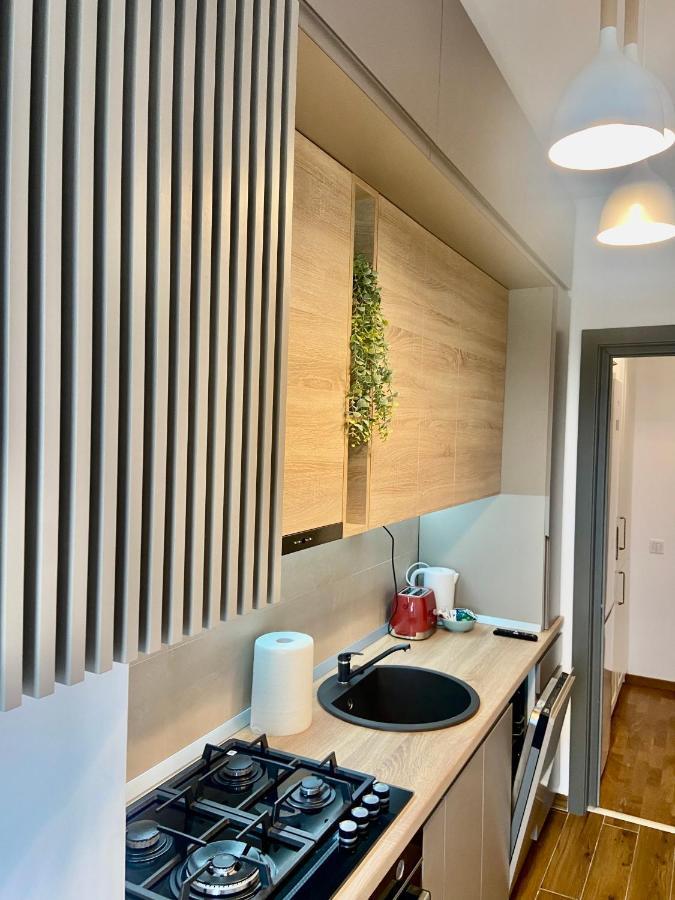 Lazar Loft Apartment Iasi Ngoại thất bức ảnh