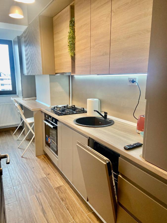 Lazar Loft Apartment Iasi Ngoại thất bức ảnh