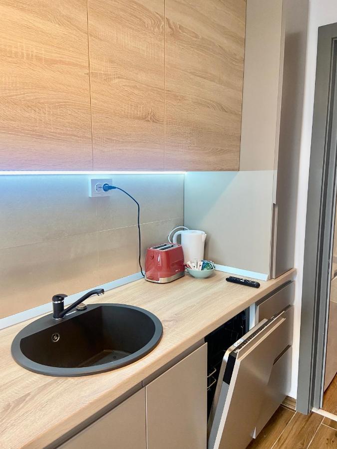 Lazar Loft Apartment Iasi Ngoại thất bức ảnh